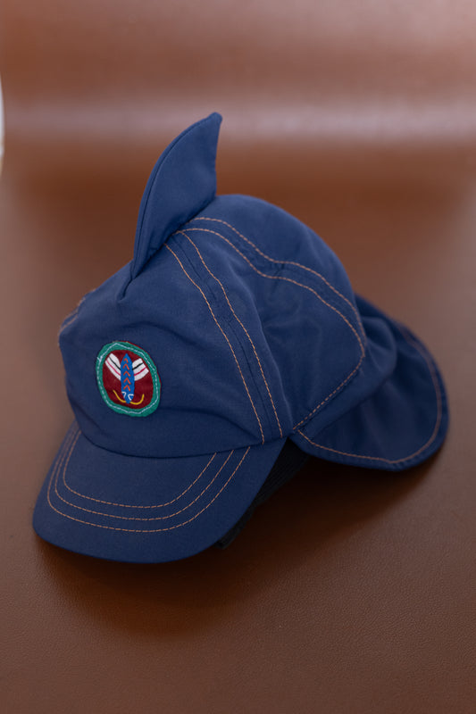 Baby Shark Hat